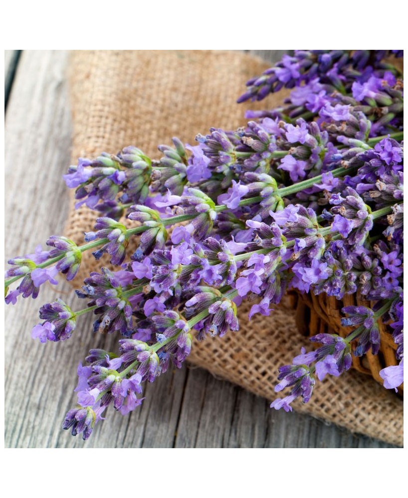 Přírodní bio mýdlo z Provence z Levandule