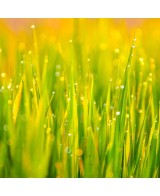 Svěží pohlazení - Přírodní bio mýdlo z Provence