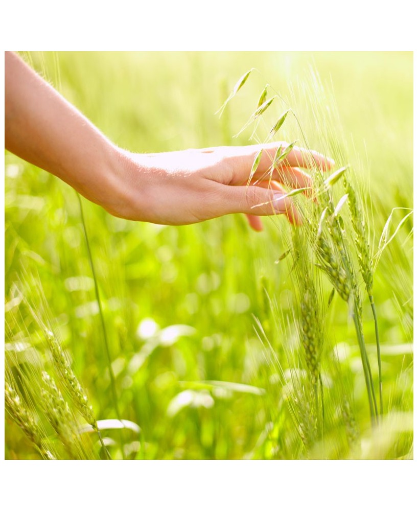 Přírodní bio mýdlo - Luční pohlazení