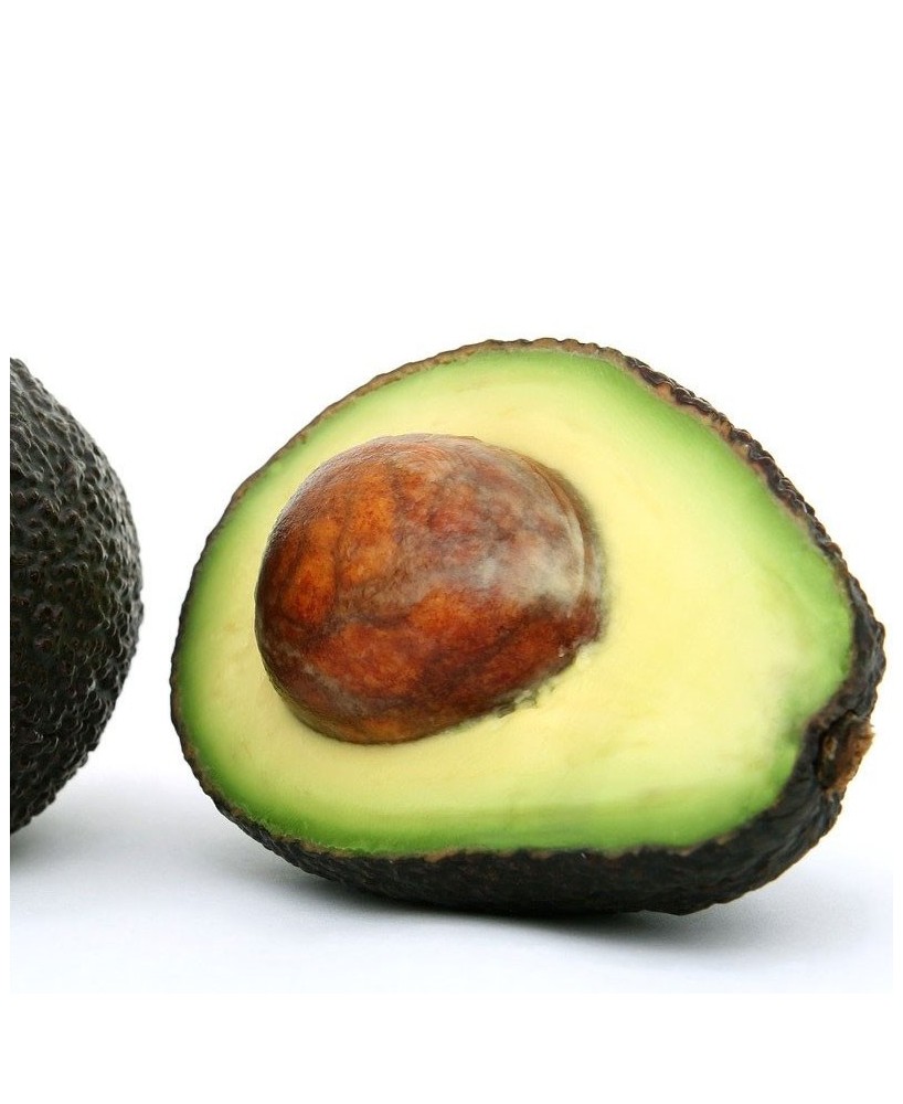 Přírodní bio šampon - Píseň cikád