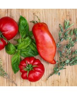 Provensálská hořčice - 200g