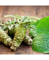 Wasabi hořčice - 200g