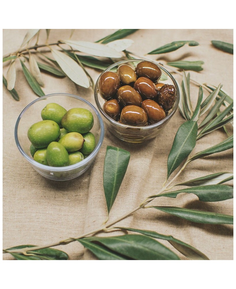 BIO olivová pomazánka - 120g