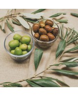 BIO olivová pomazánka - 120g