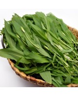 BIO medvědí česnek pomazánka - 120g