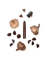 Samostatná kořenící tužka - černý česnek