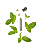 Samostatná kořenící tužka - bazalka