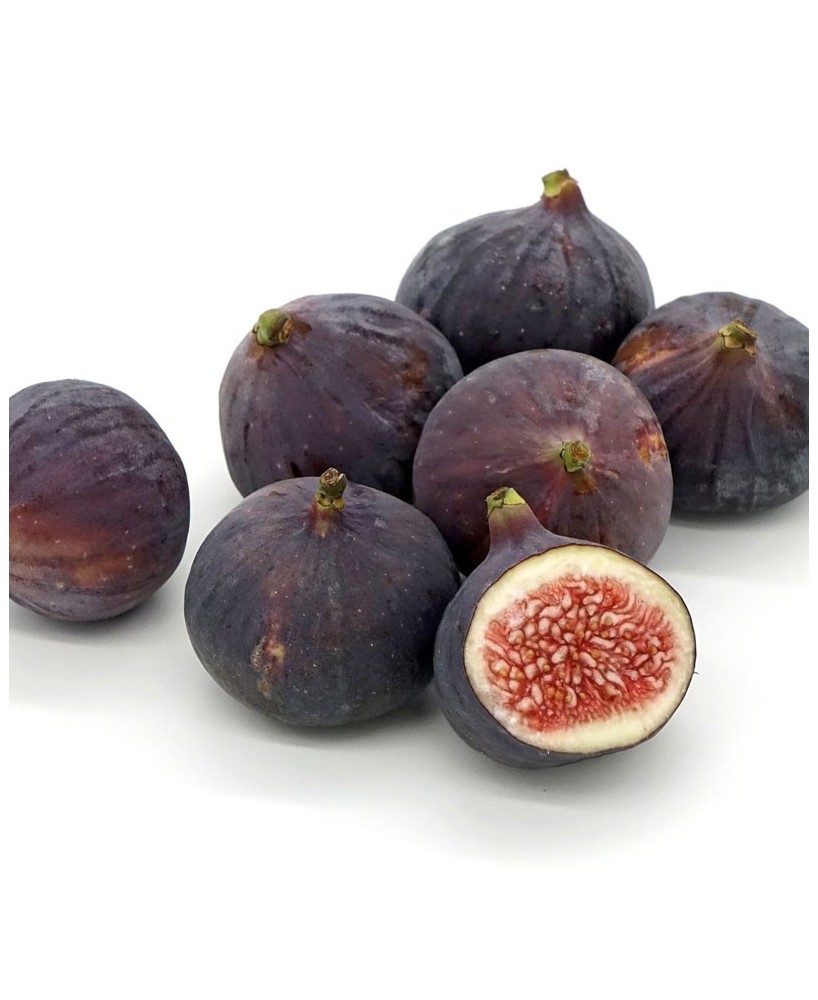 Hořčice s fíky - 200g