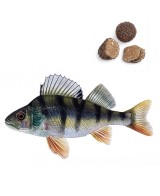 Mořský vlk s lanýžem - Rillettes - 100g