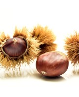 Hořčice s kaštany - 200g