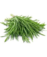 Hořčice s estragonem - 200g