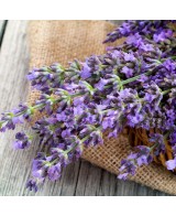 Sušená levandule Sušená levandule