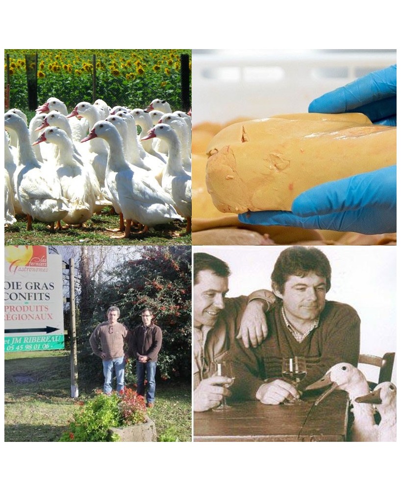 Kachní pěna s foie gras