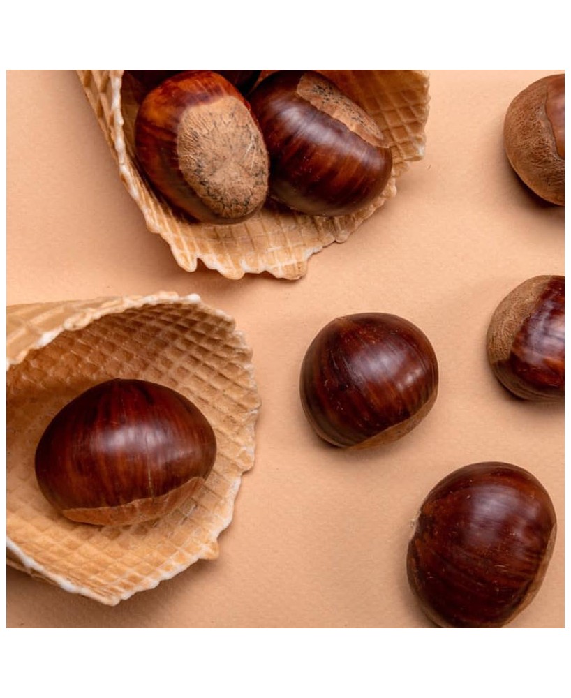 Pravé kaštanové pyré z Francie