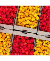 Tonerre - pálivá omáčka - 100g