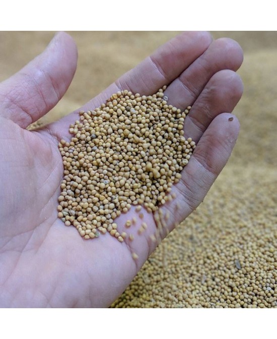 Štrasburská silná hořčice - 350g