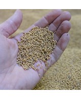 Štrasburská silná hořčice - 350g