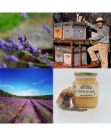 Bio kaštanový med z Francie 250g