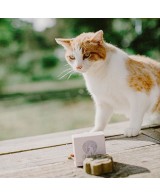 Přírodní šampon pro kočky