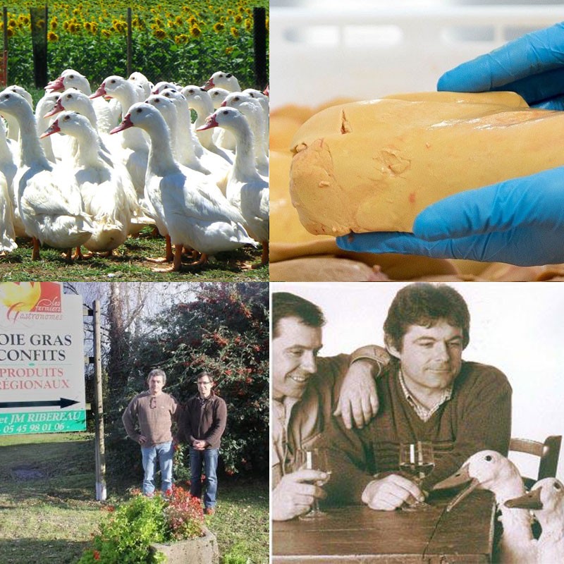 Kde koupit kvalitní foie gras