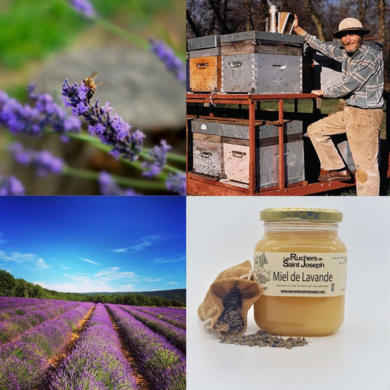 Kvalitní a nejlepší med z Provence