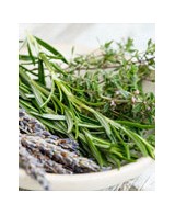 Bio Bylinky z Provence