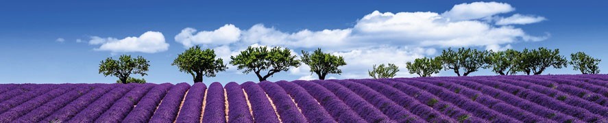 Přírodní aromaterapie z Provence - Babička Chantal z Francie