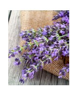 Přírodní aromaterapie