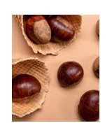 Kaštanové speciality