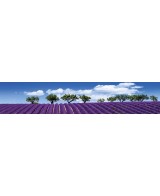 Kosmetika z Provence